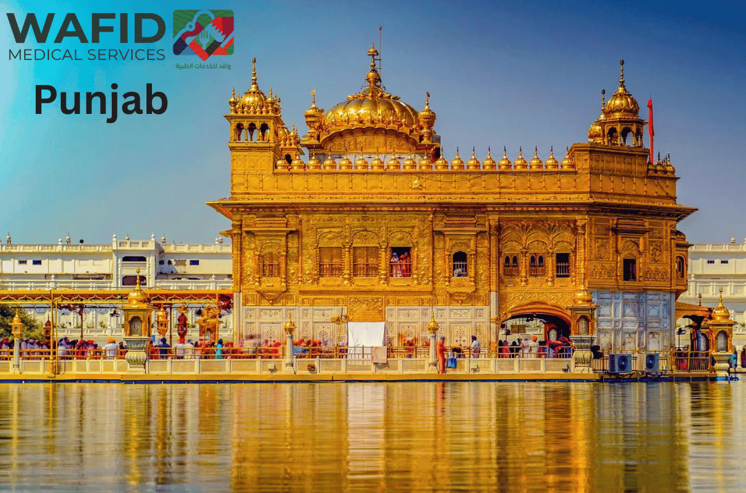 Wafid Medical Appointment in Punjab