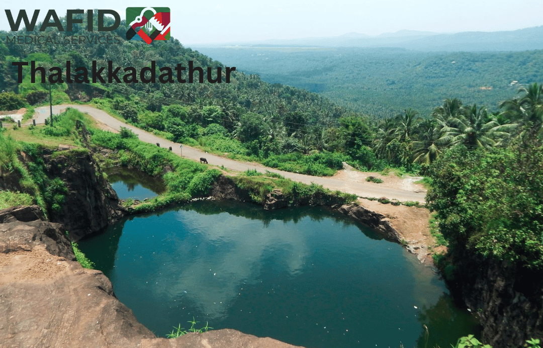 Wafid Medical Appointment in Thalakkadathur